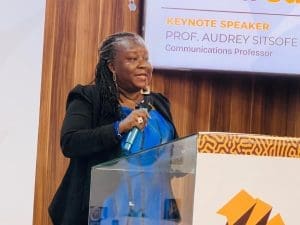 Communications Professor At The University Of Ghana Audrey Gadzekpo