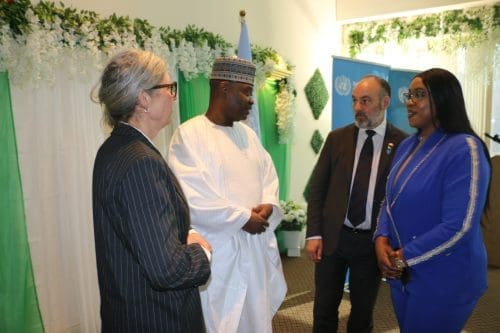 Nigeria Seeks Global Backing for State Police Reform